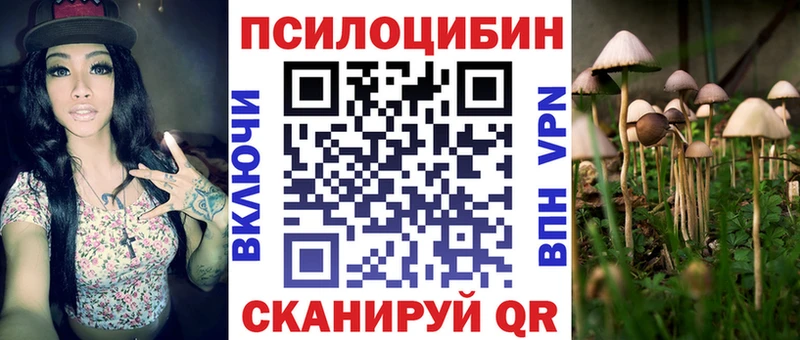 магазин  наркотиков  Подпорожье  Галлюциногенные грибы Psilocybe 